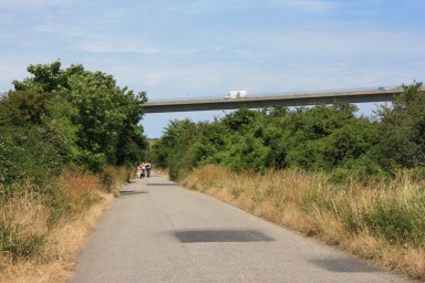 IMG_0864